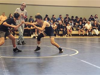 wrestling