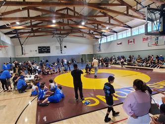 wrestling