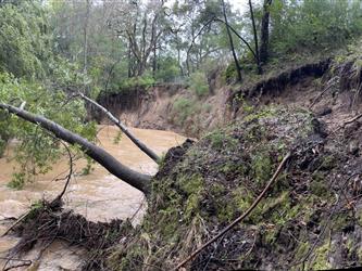 creek1