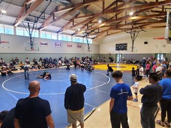 wrestling
