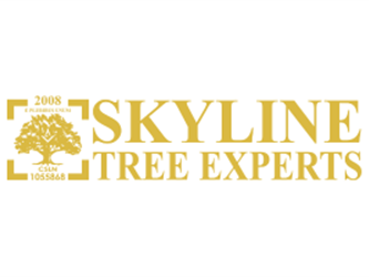skyline logo