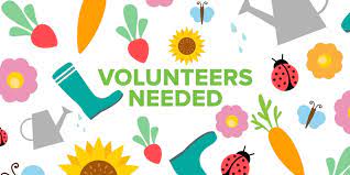 garden volunteers
