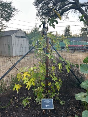 FIG#2